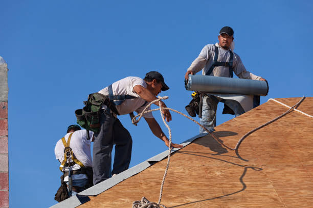 Best Roof Gutter Cleaning  in Pleasant Hill, TX